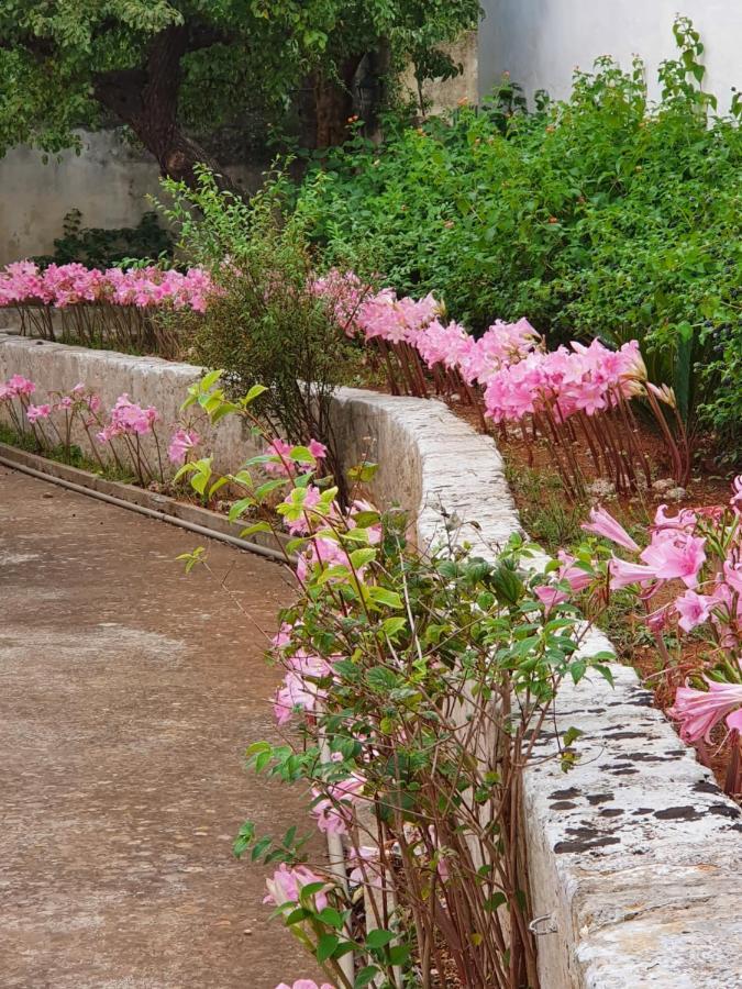 Villa Nel Salento - Ampie Camere E Giardino, Fino A 9 Persone Barbarano del Capo Экстерьер фото