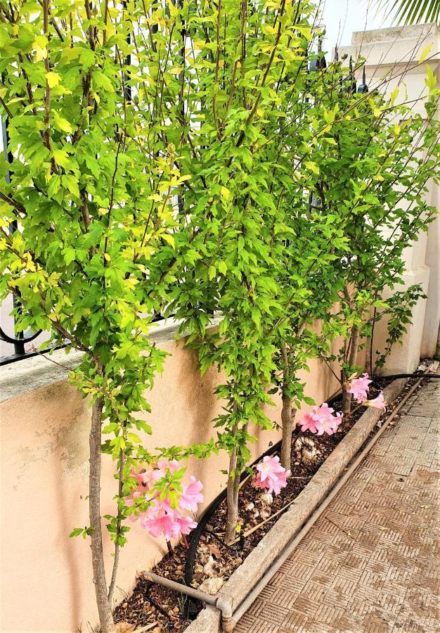Villa Nel Salento - Ampie Camere E Giardino, Fino A 9 Persone Barbarano del Capo Экстерьер фото
